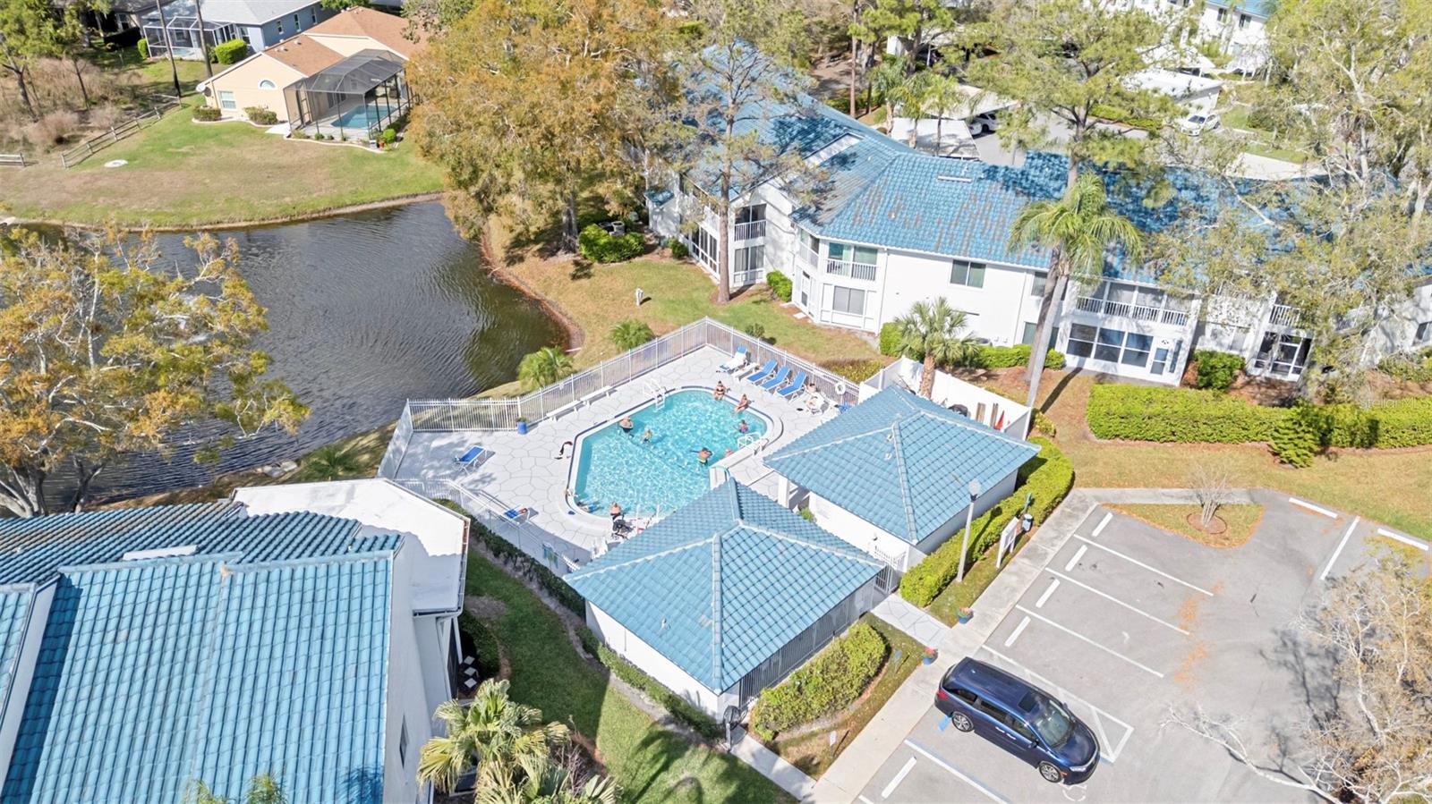 3545 INDIGO POND DR, PALM HARBOR, FL, 34685