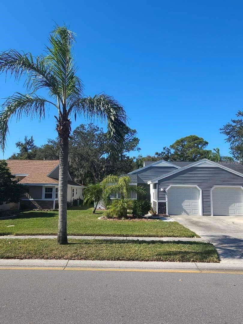 3154 CLOVERPLACE DR #139, PALM HARBOR, FL, 34684