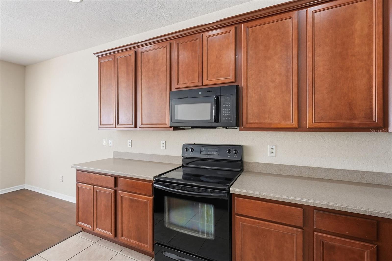 27004 COOL STREAM LN, WESLEY CHAPEL, FL, 33544