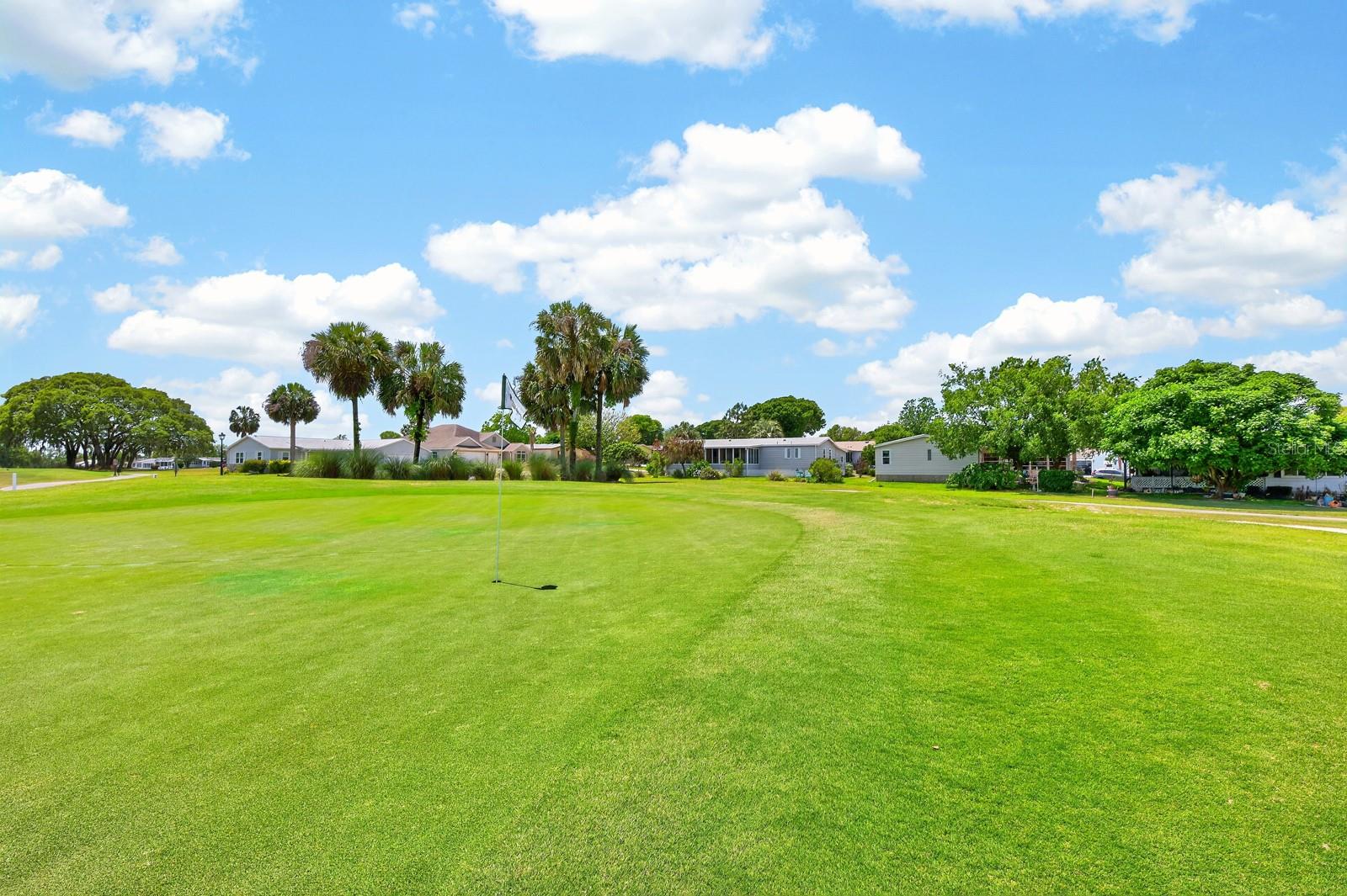 1603 COG HILL DR, THE VILLAGES, FL, 32159