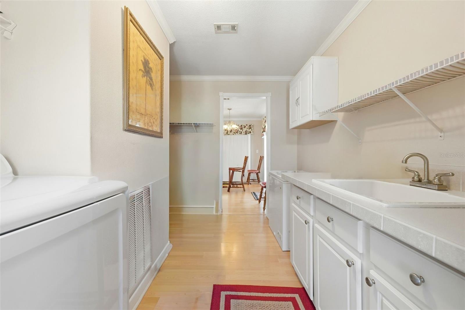 11836 SUSSEX HILL WAY, LEESBURG, FL, 34788