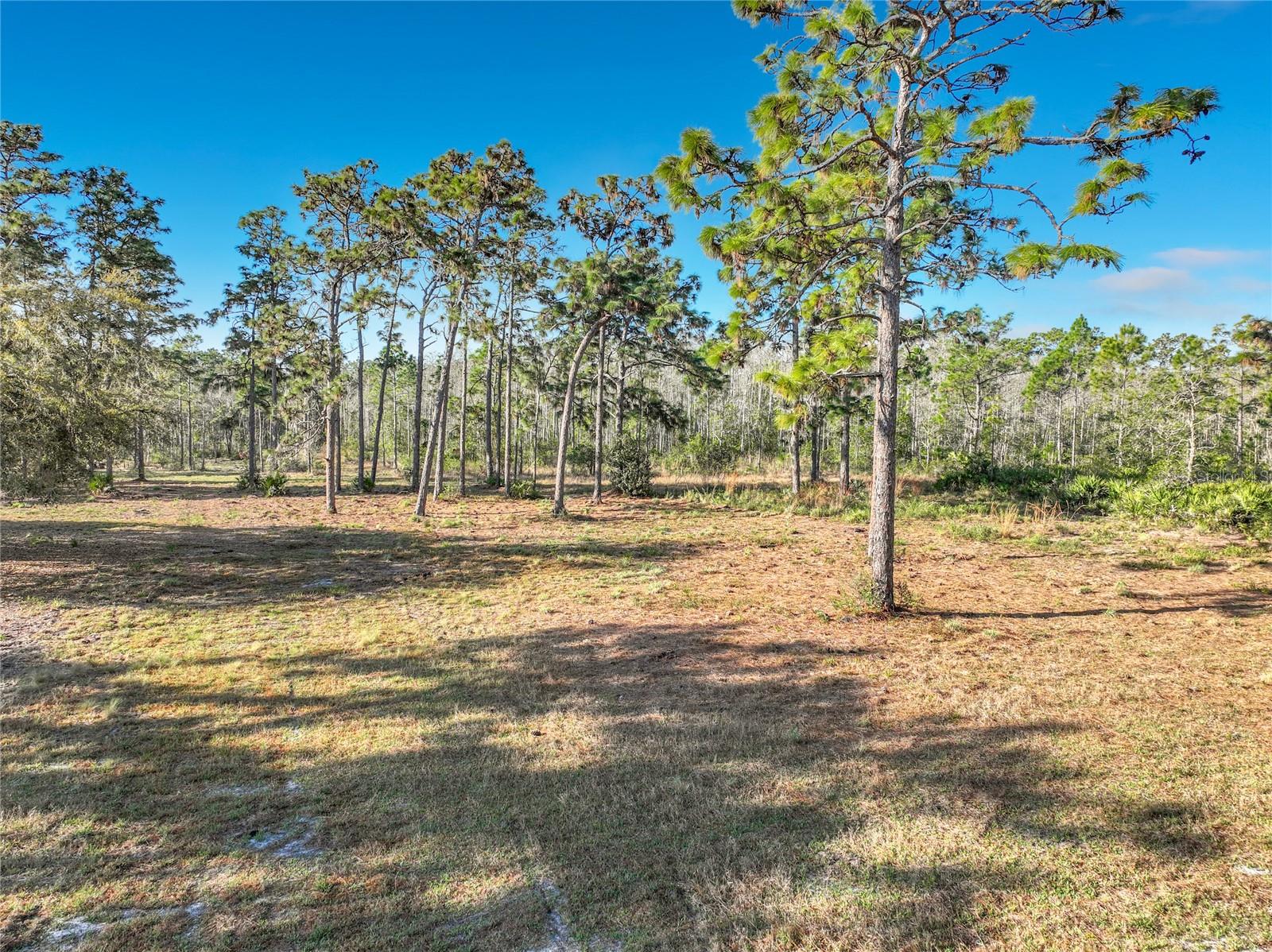 QUARTERLY PKWY, ORLANDO, FL, 32833