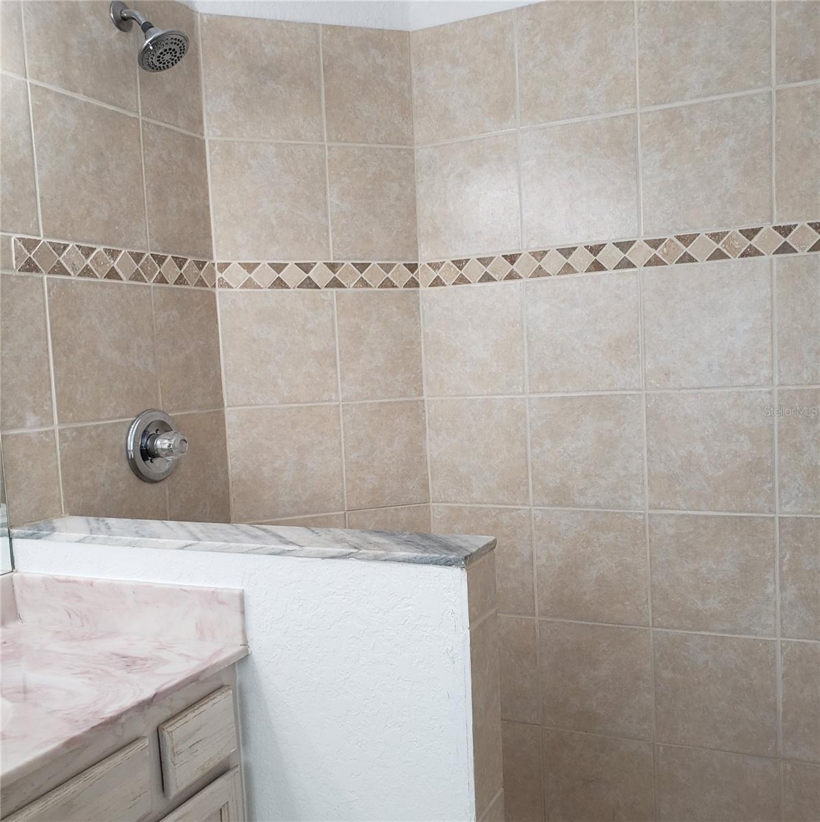 5016 SUNRIDGE PALMS DR, TAMPA, FL, 33617