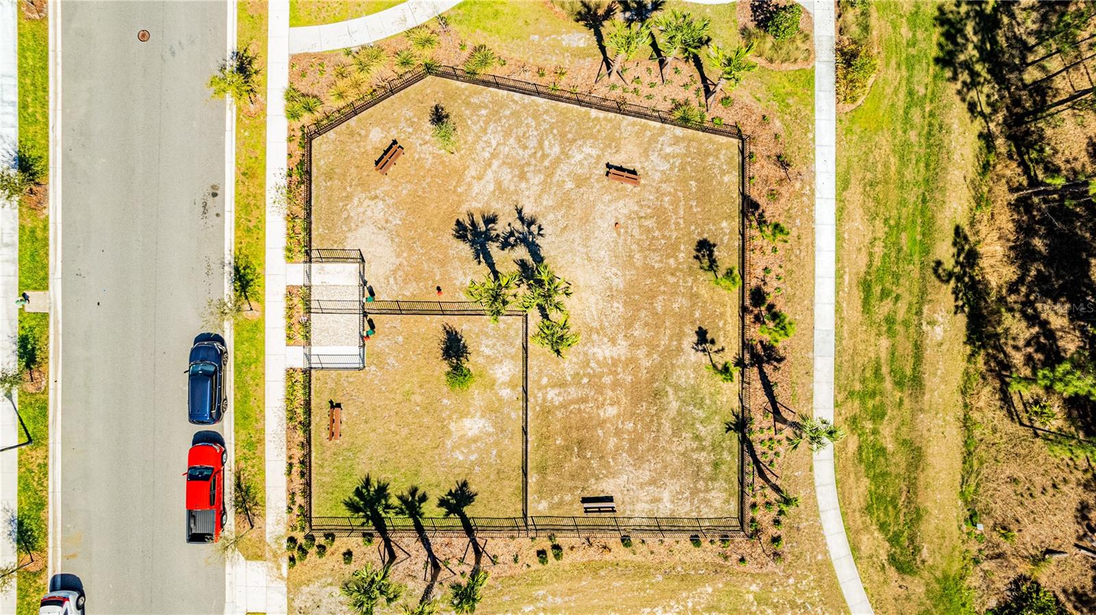 15197 BLUE PEACOCK LN, WINTER GARDEN, FL, 34787