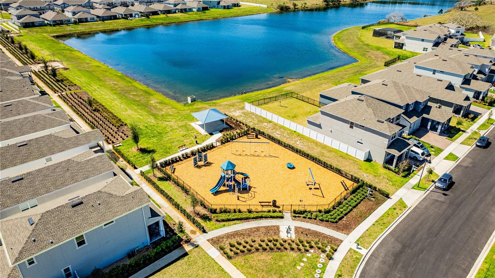 15197 BLUE PEACOCK LN, WINTER GARDEN, FL, 34787