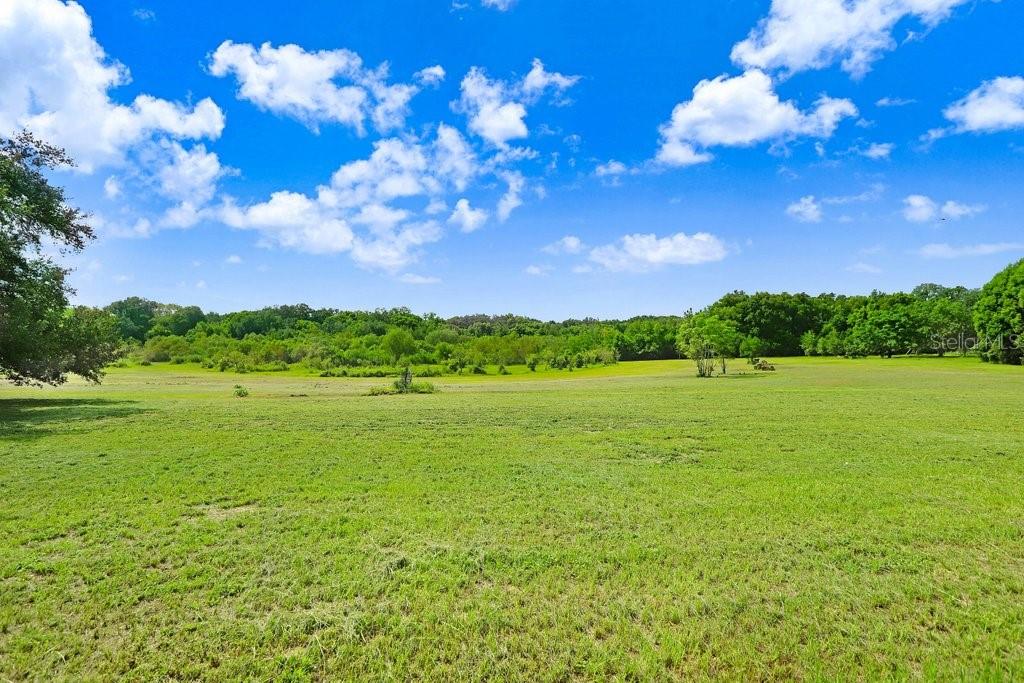37352 ½ TRILBY RD, DADE CITY, FL, 33523