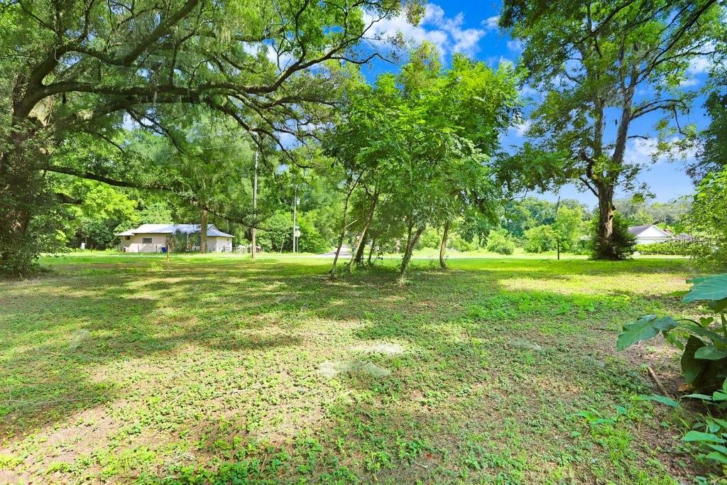 37352 ½ TRILBY RD, DADE CITY, FL, 33523