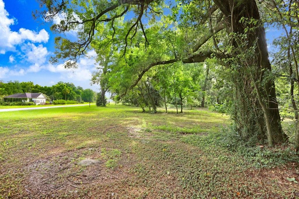 37352 ½ TRILBY RD, DADE CITY, FL, 33523