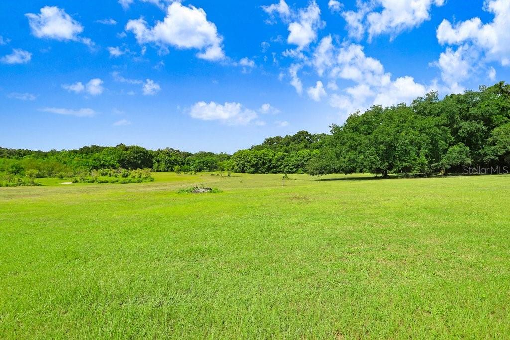 37352 ½ TRILBY RD, DADE CITY, FL, 33523