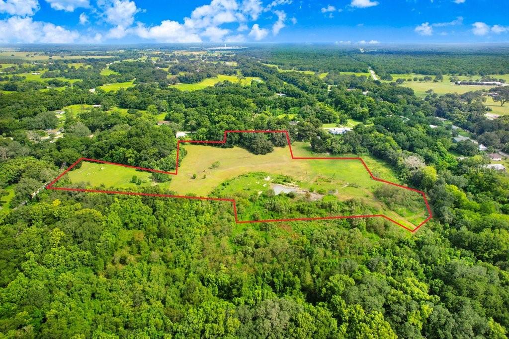 37352 ½ TRILBY RD, DADE CITY, FL, 33523