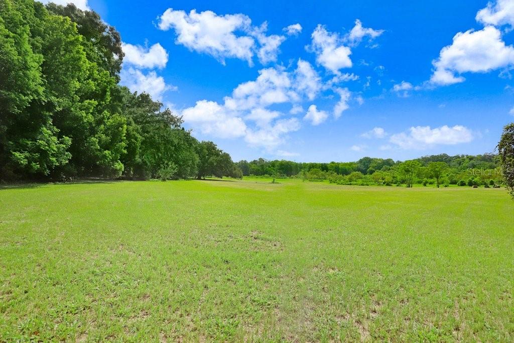 37352 ½ TRILBY RD, DADE CITY, FL, 33523