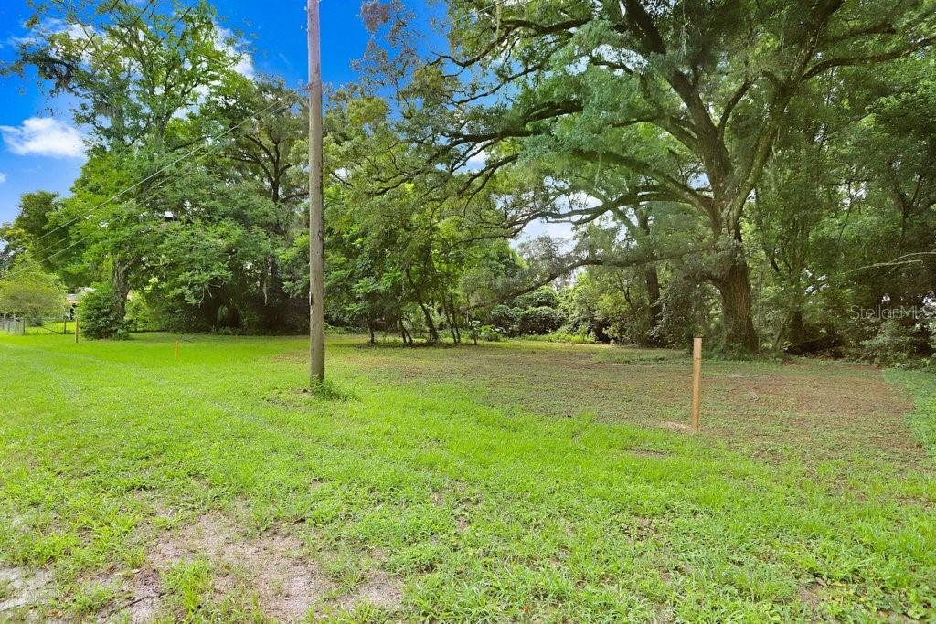 37352 ½ TRILBY RD, DADE CITY, FL, 33523