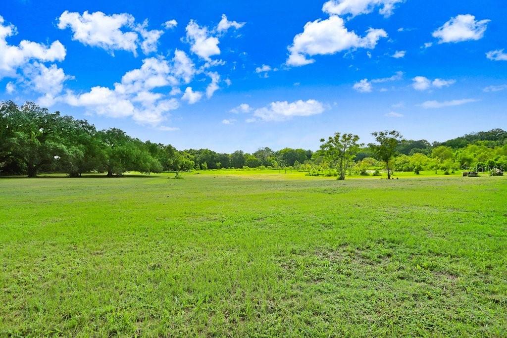 37352 ½ TRILBY RD, DADE CITY, FL, 33523