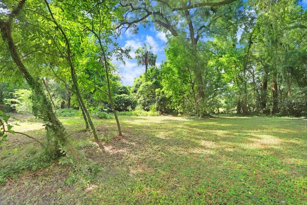 37352 ½ TRILBY RD, DADE CITY, FL, 33523