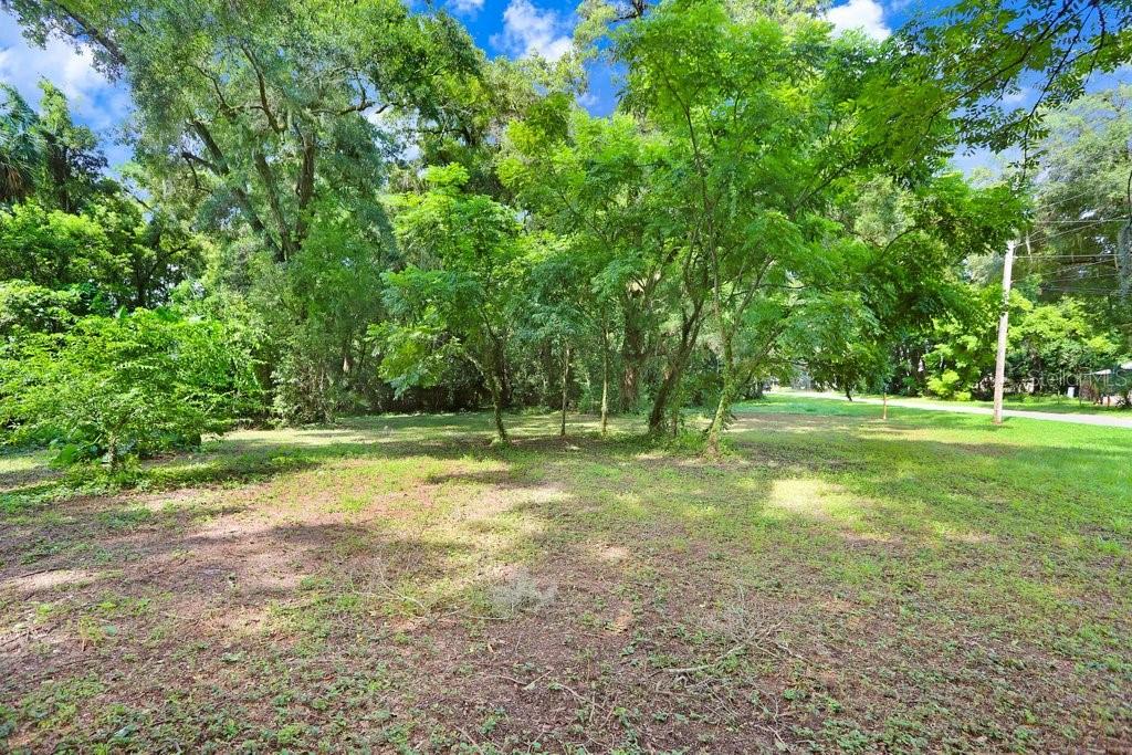 37352 ½ TRILBY RD, DADE CITY, FL, 33523
