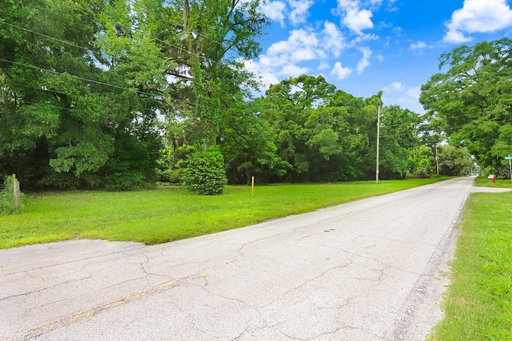 37352 ½ TRILBY RD, DADE CITY, FL, 33523