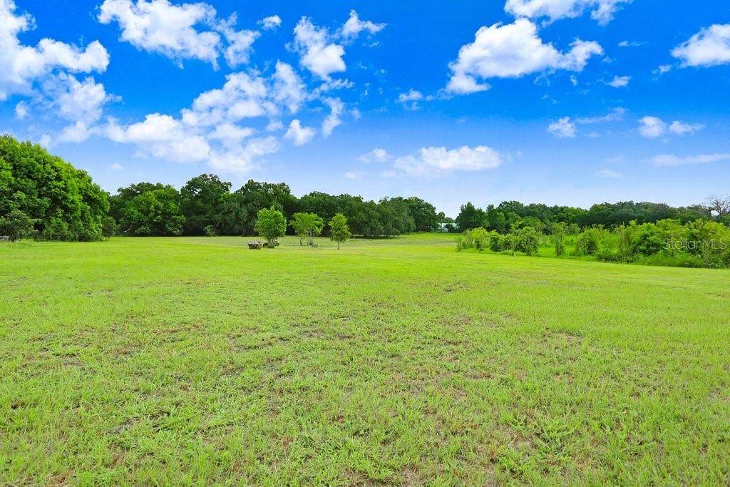 37352 ½ TRILBY RD, DADE CITY, FL, 33523