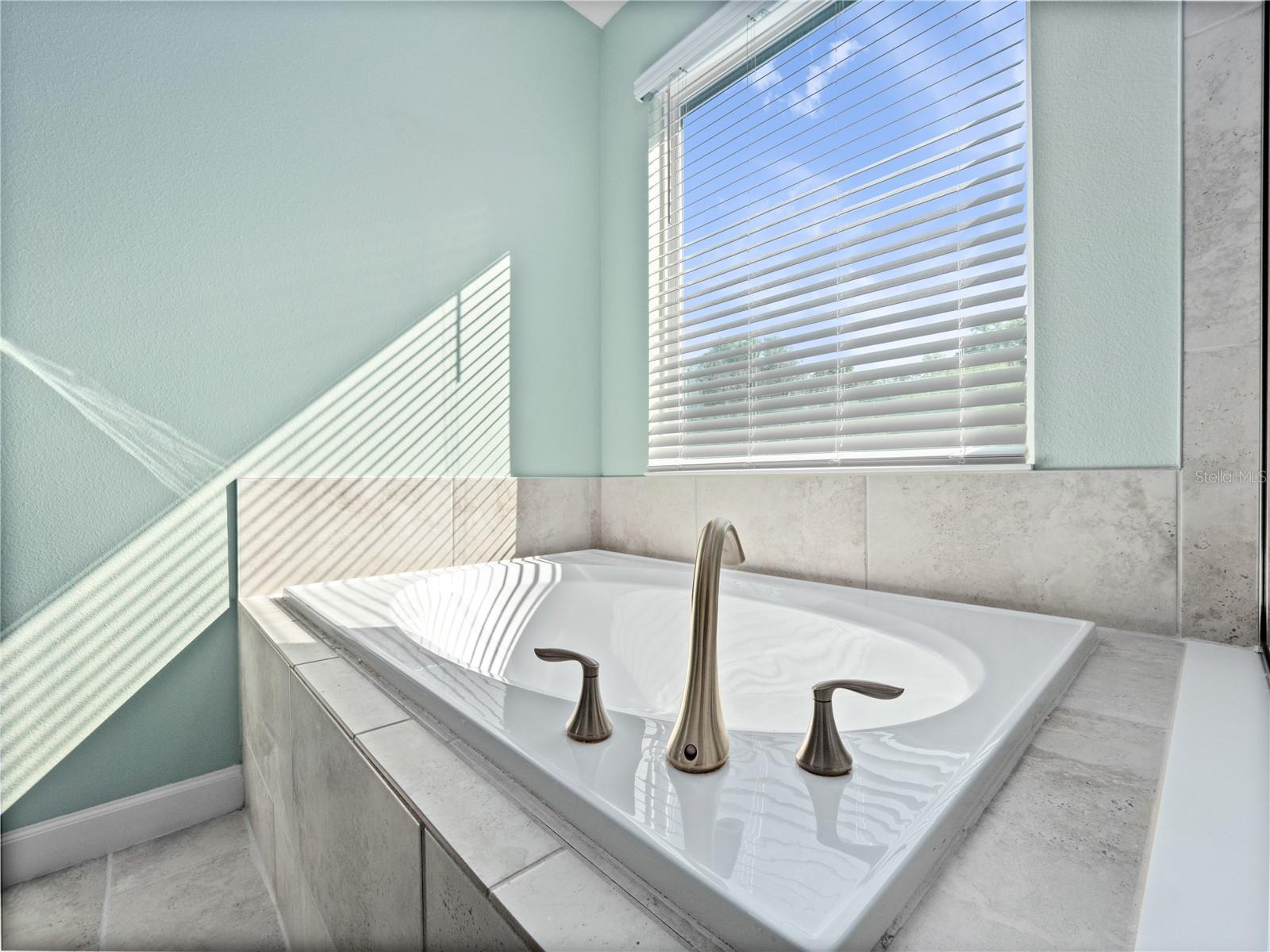 1252 DORA PARC LN, MOUNT DORA, FL, 32757