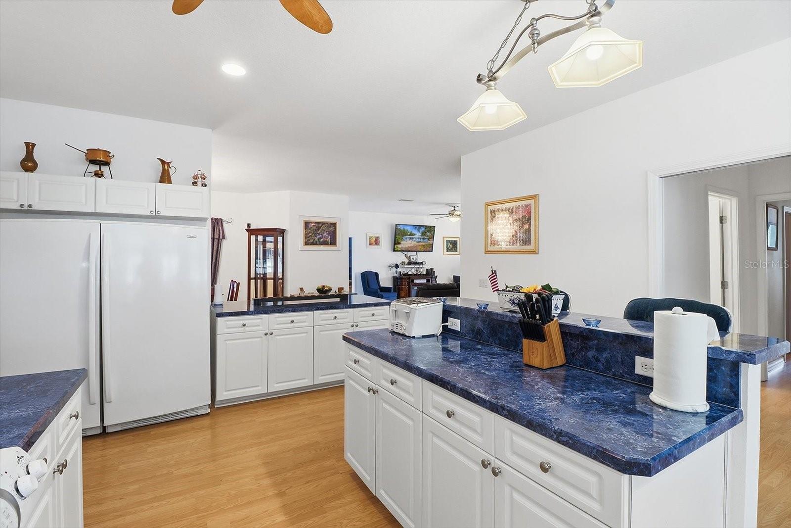 5432 N PECOS TER, BEVERLY HILLS, FL, 34465