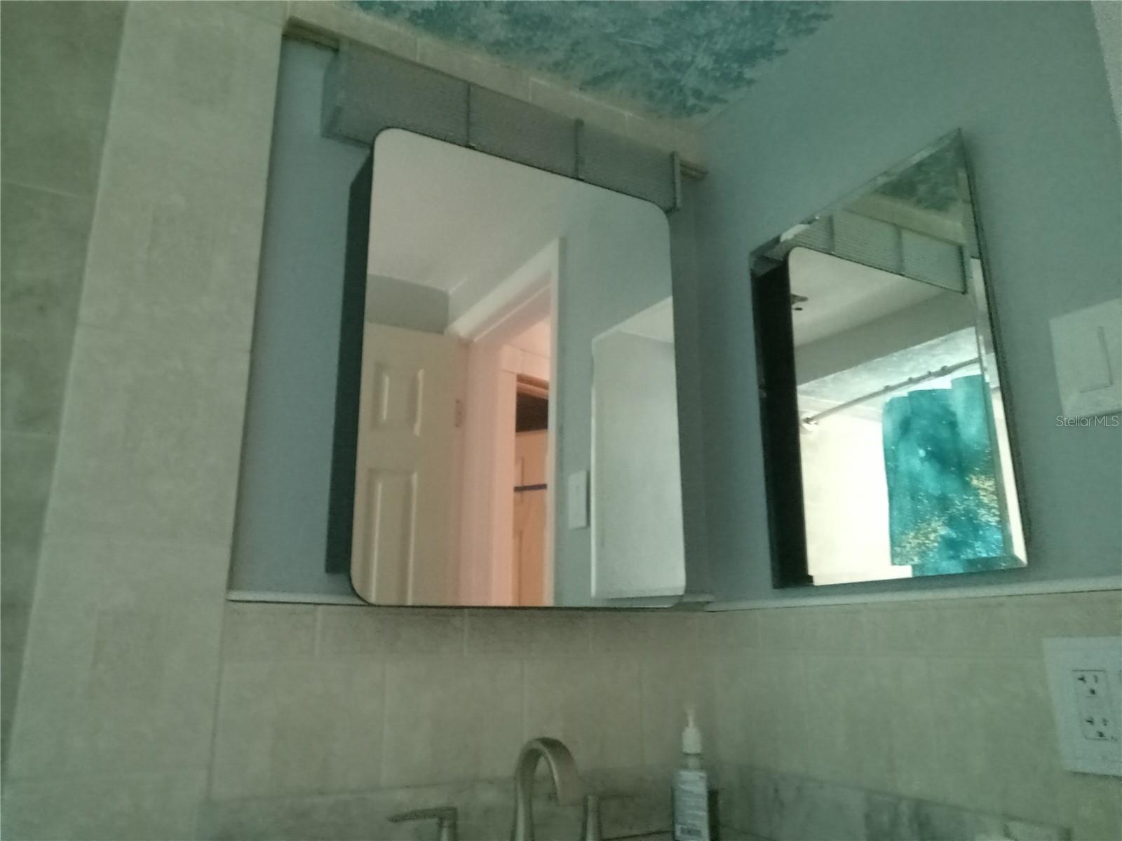 3650 PECONIC WAY, HOLIDAY, FL, 34691