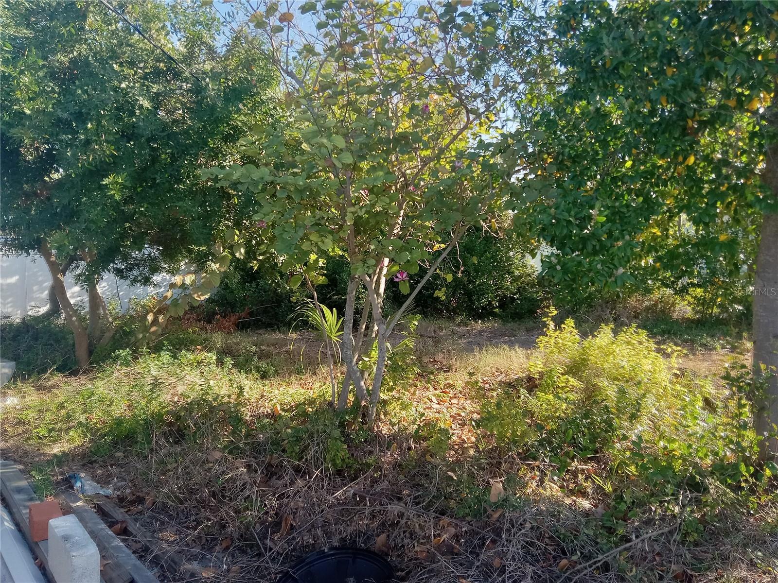 3650 PECONIC WAY, HOLIDAY, FL, 34691