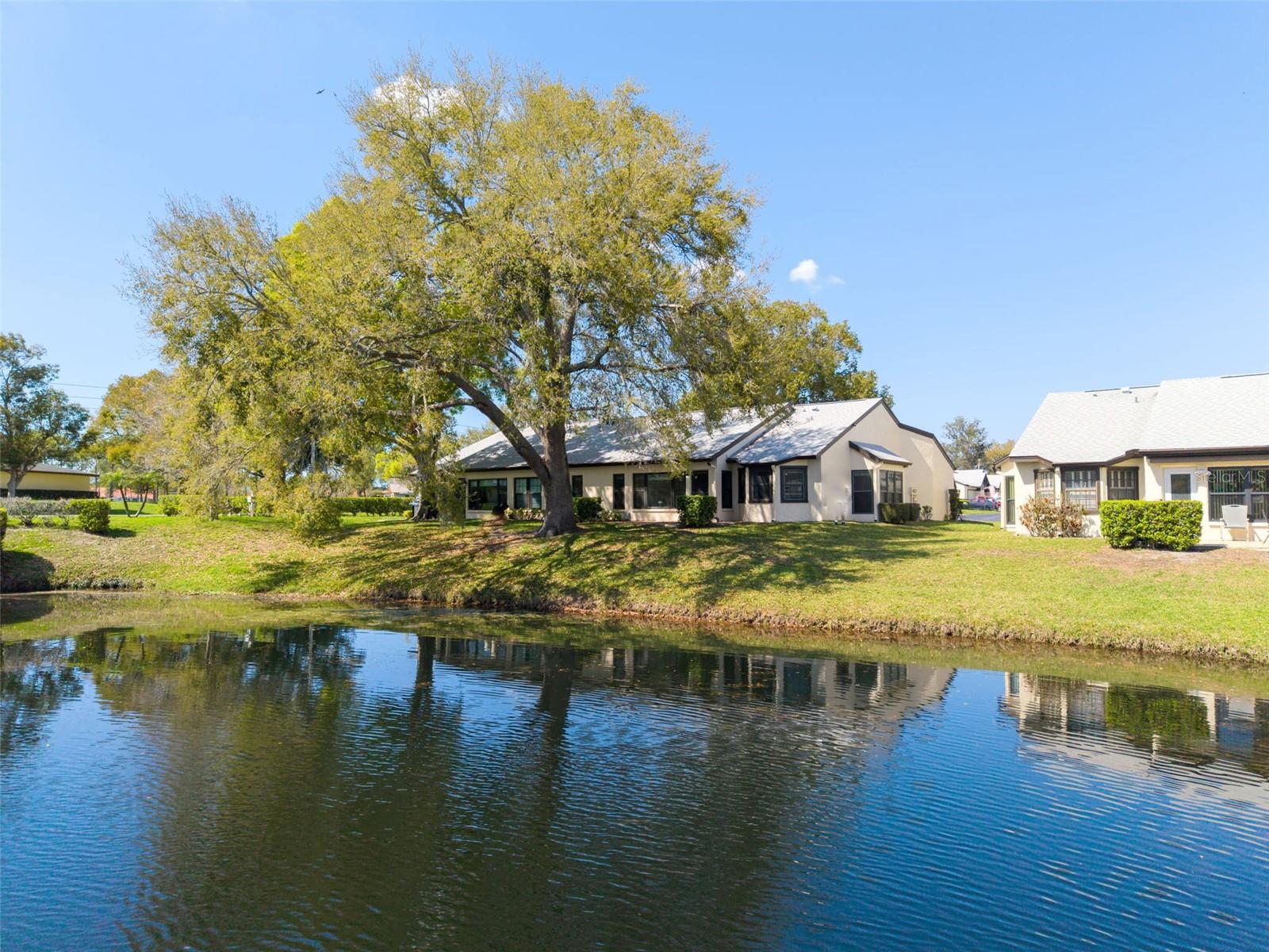 3466 SUTTON PL, PALM HARBOR, FL, 34684