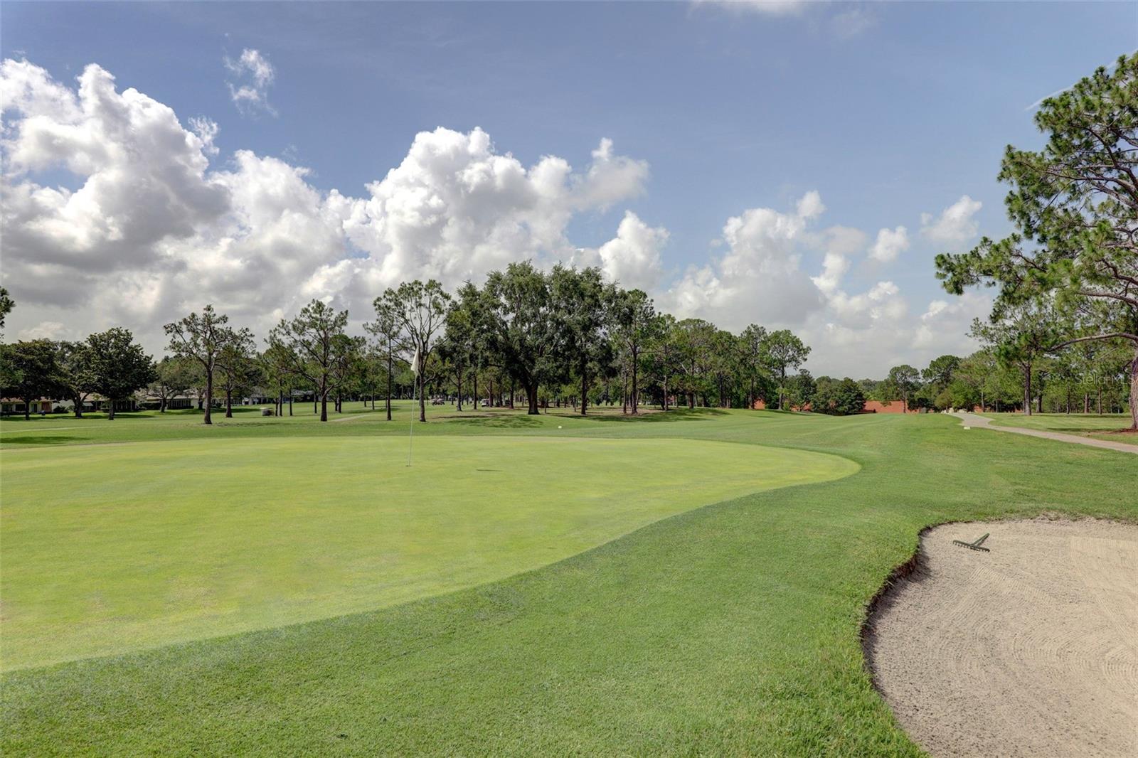 3466 SUTTON PL, PALM HARBOR, FL, 34684