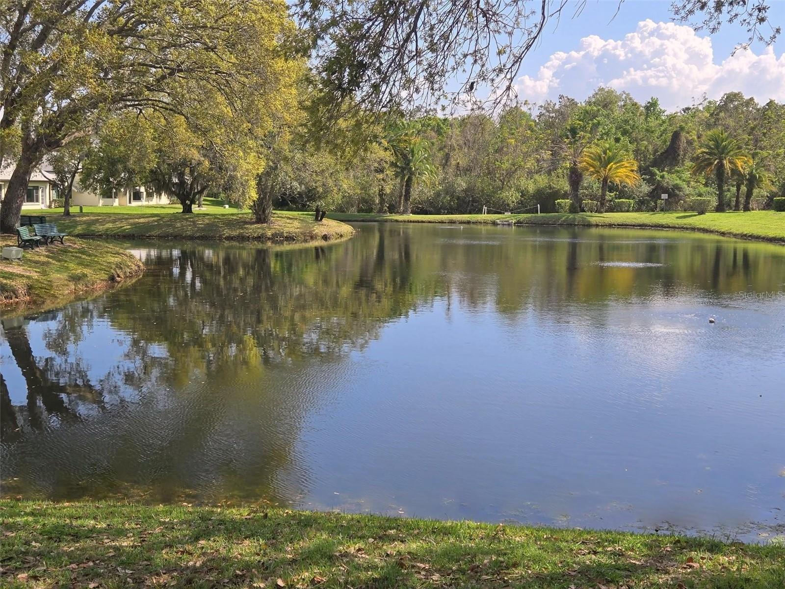 3466 SUTTON PL, PALM HARBOR, FL, 34684