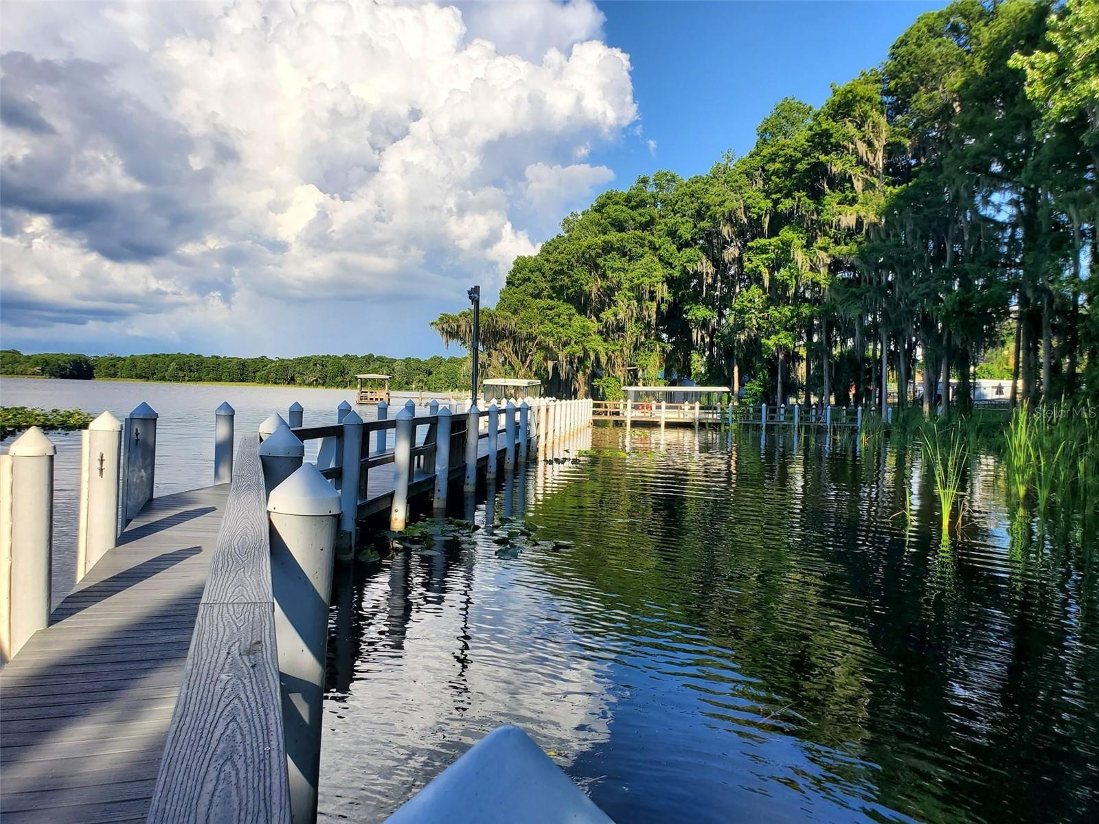 3466 SUTTON PL, PALM HARBOR, FL, 34684