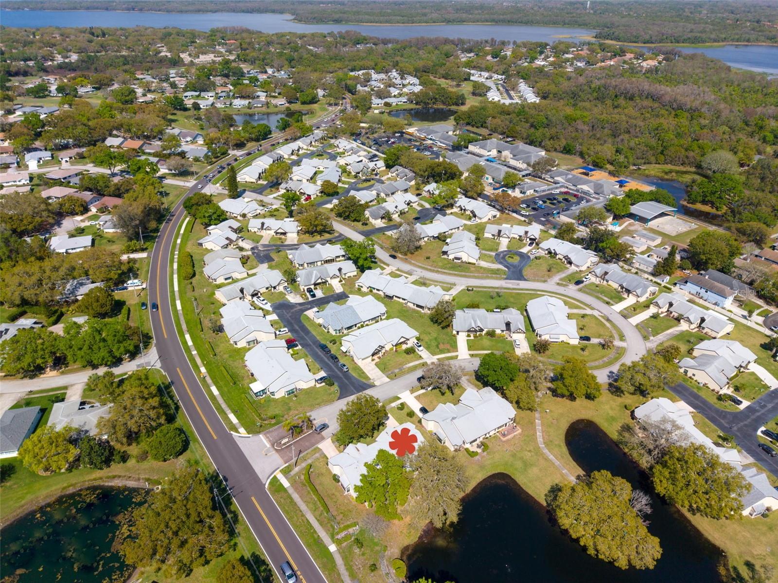3466 SUTTON PL, PALM HARBOR, FL, 34684