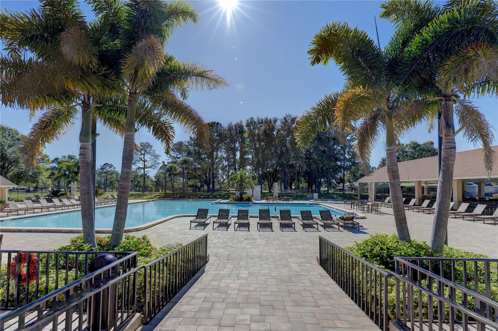 3466 SUTTON PL, PALM HARBOR, FL, 34684