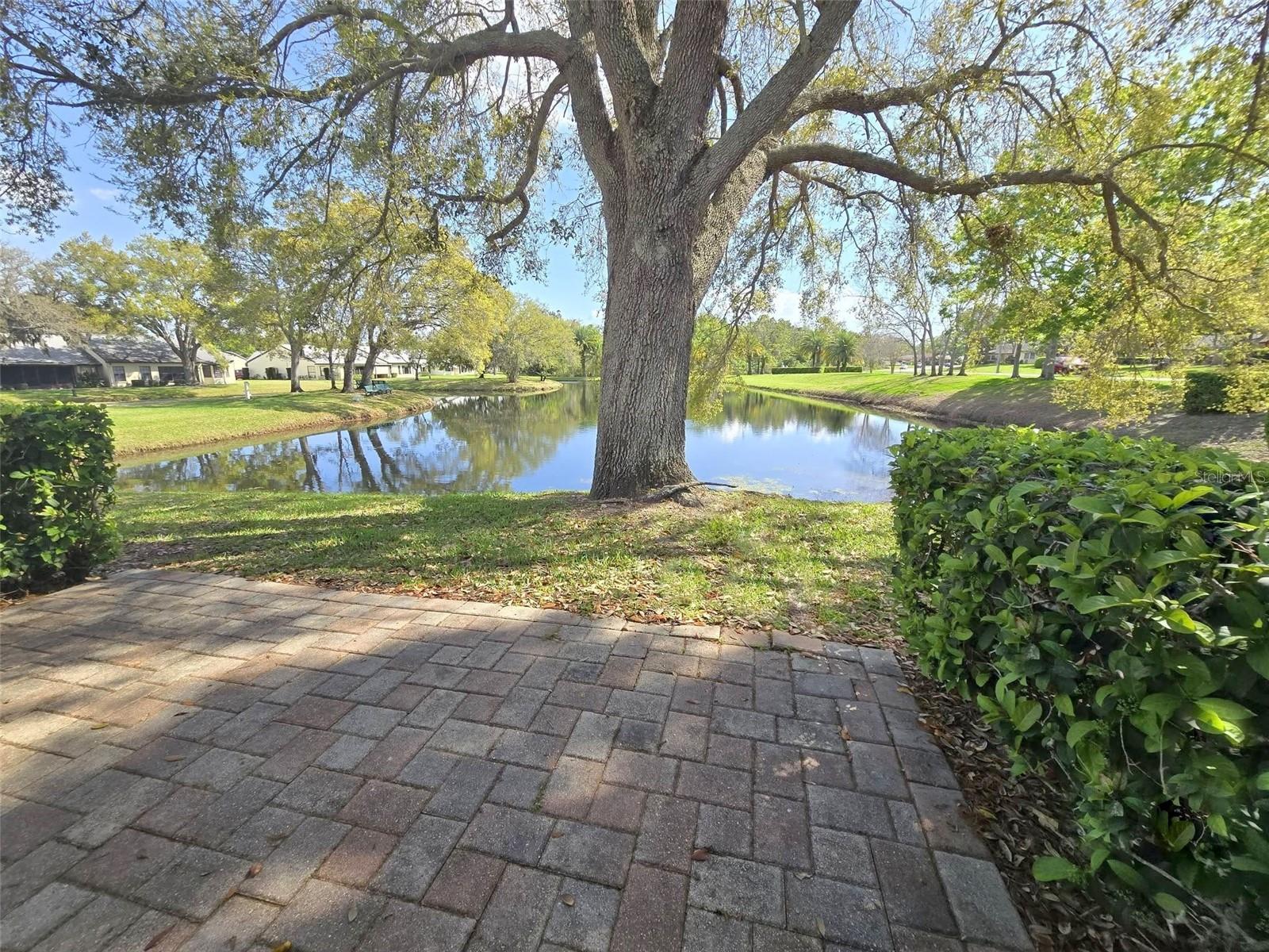 3466 SUTTON PL, PALM HARBOR, FL, 34684