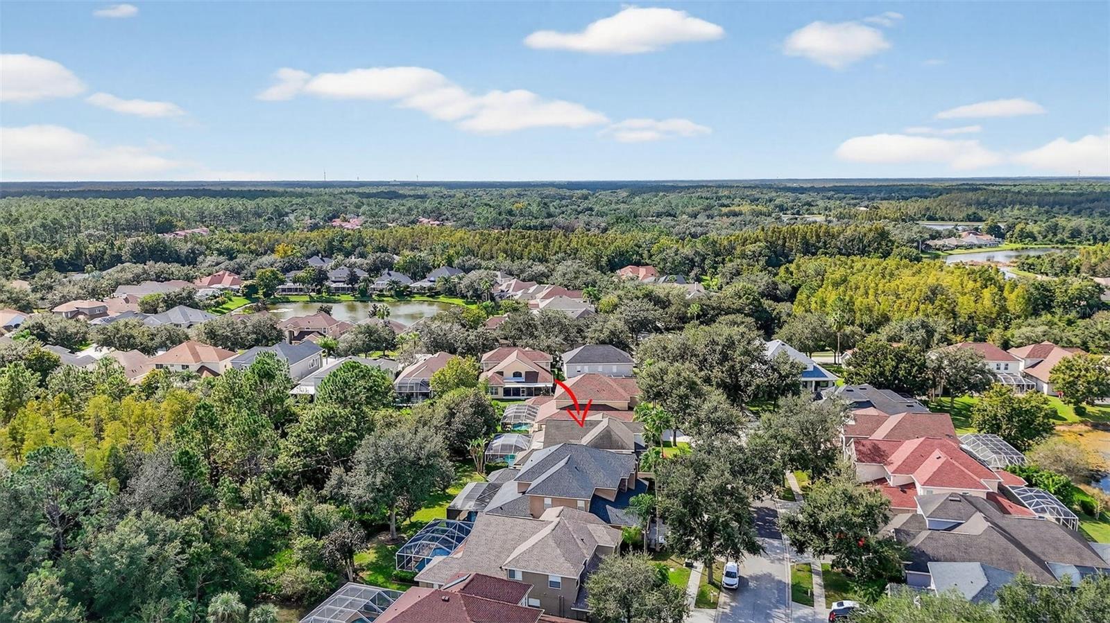 10207 DEERCLIFF DR, TAMPA, FL, 33647