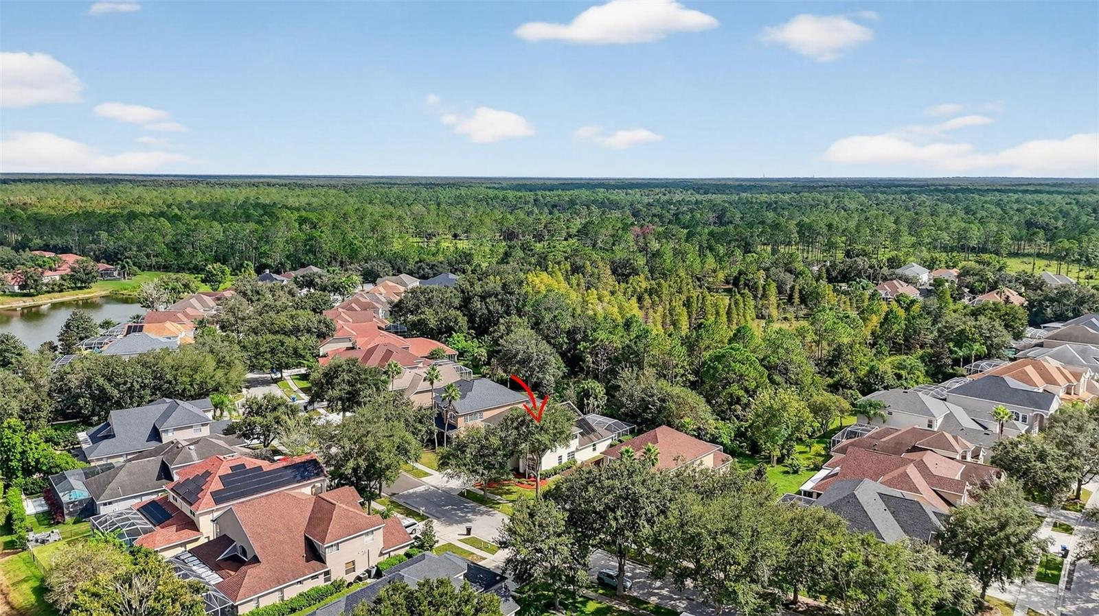 10207 DEERCLIFF DR, TAMPA, FL, 33647