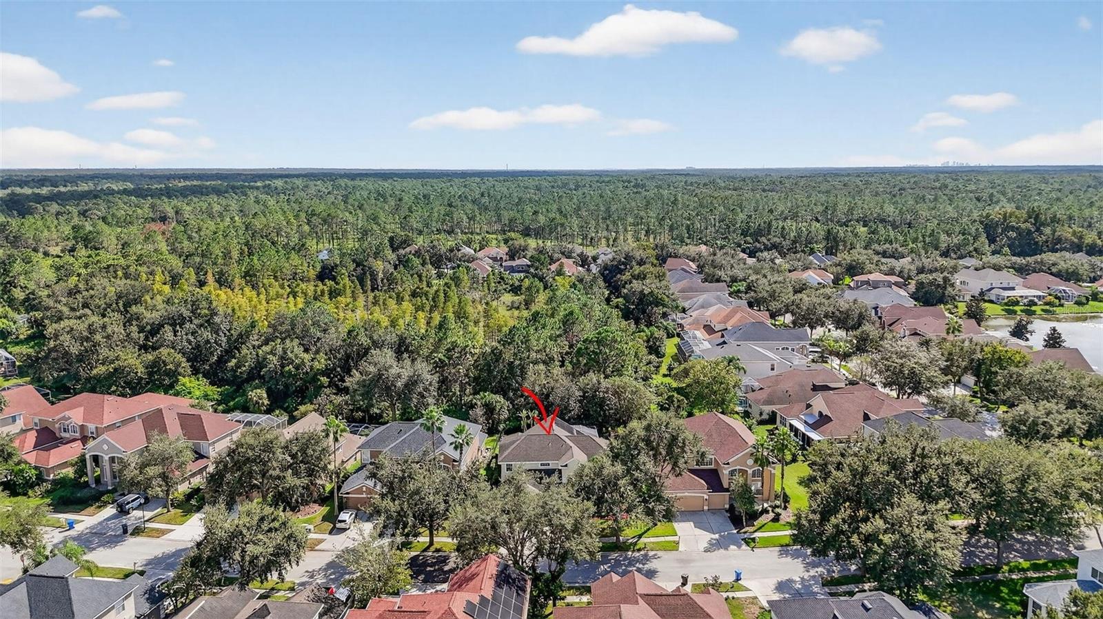 10207 DEERCLIFF DR, TAMPA, FL, 33647