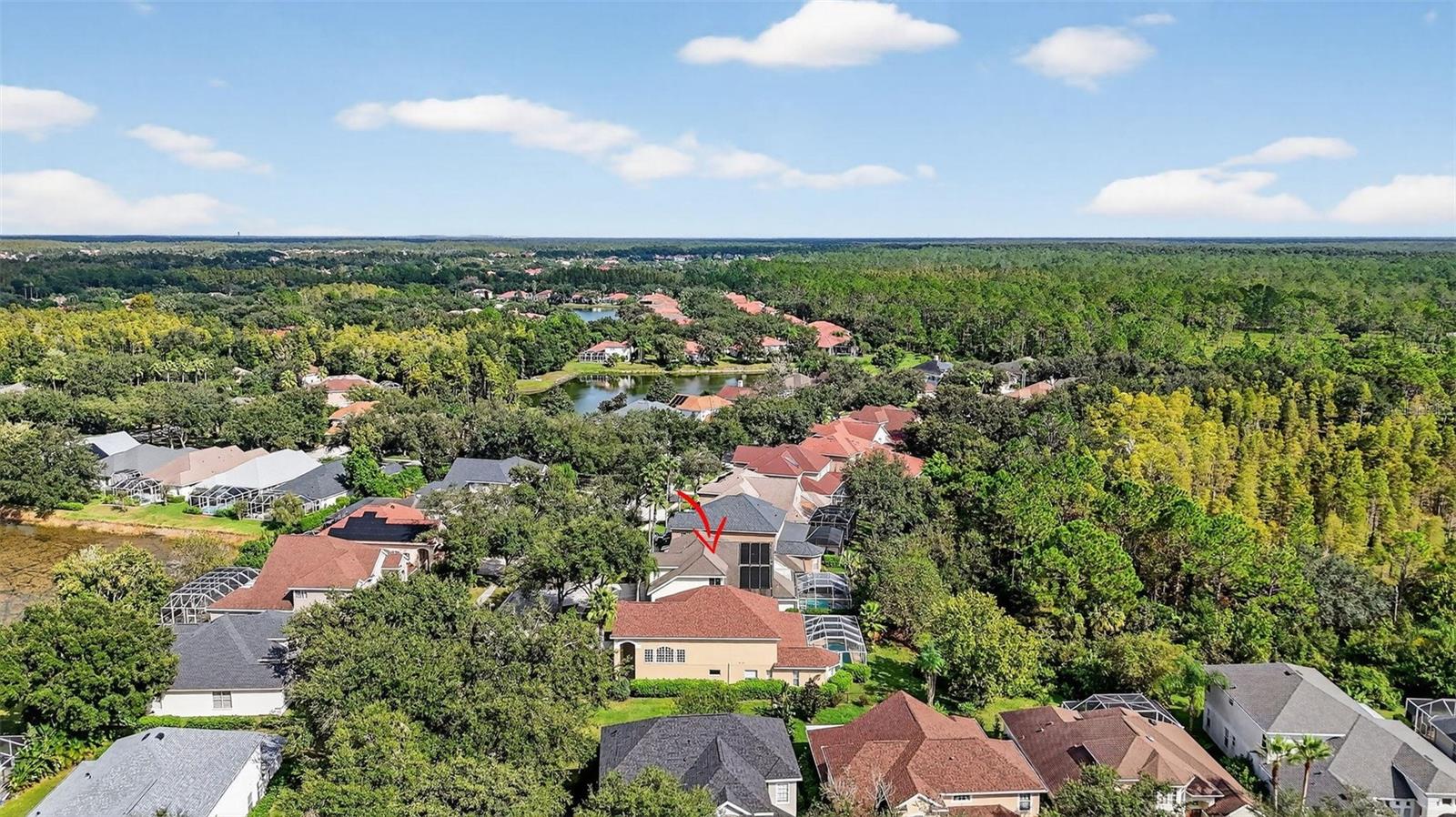10207 DEERCLIFF DR, TAMPA, FL, 33647