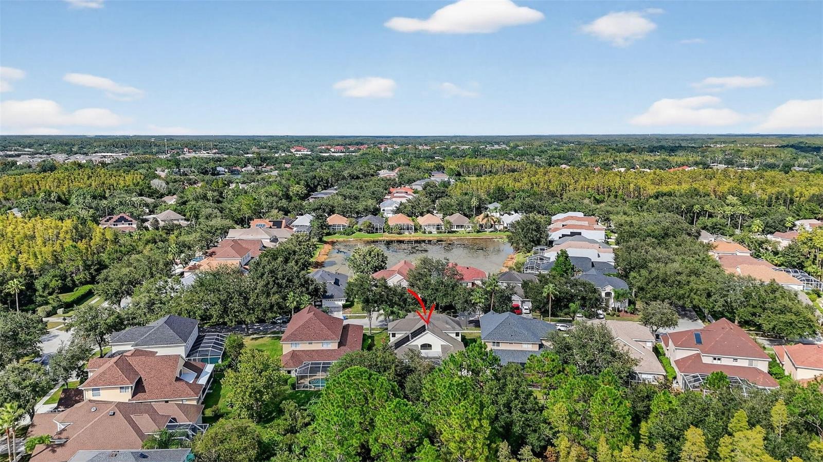 10207 DEERCLIFF DR, TAMPA, FL, 33647