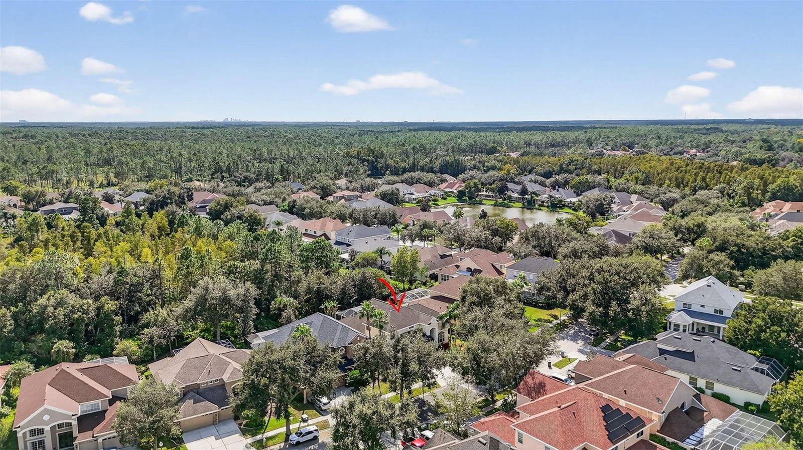10207 DEERCLIFF DR, TAMPA, FL, 33647