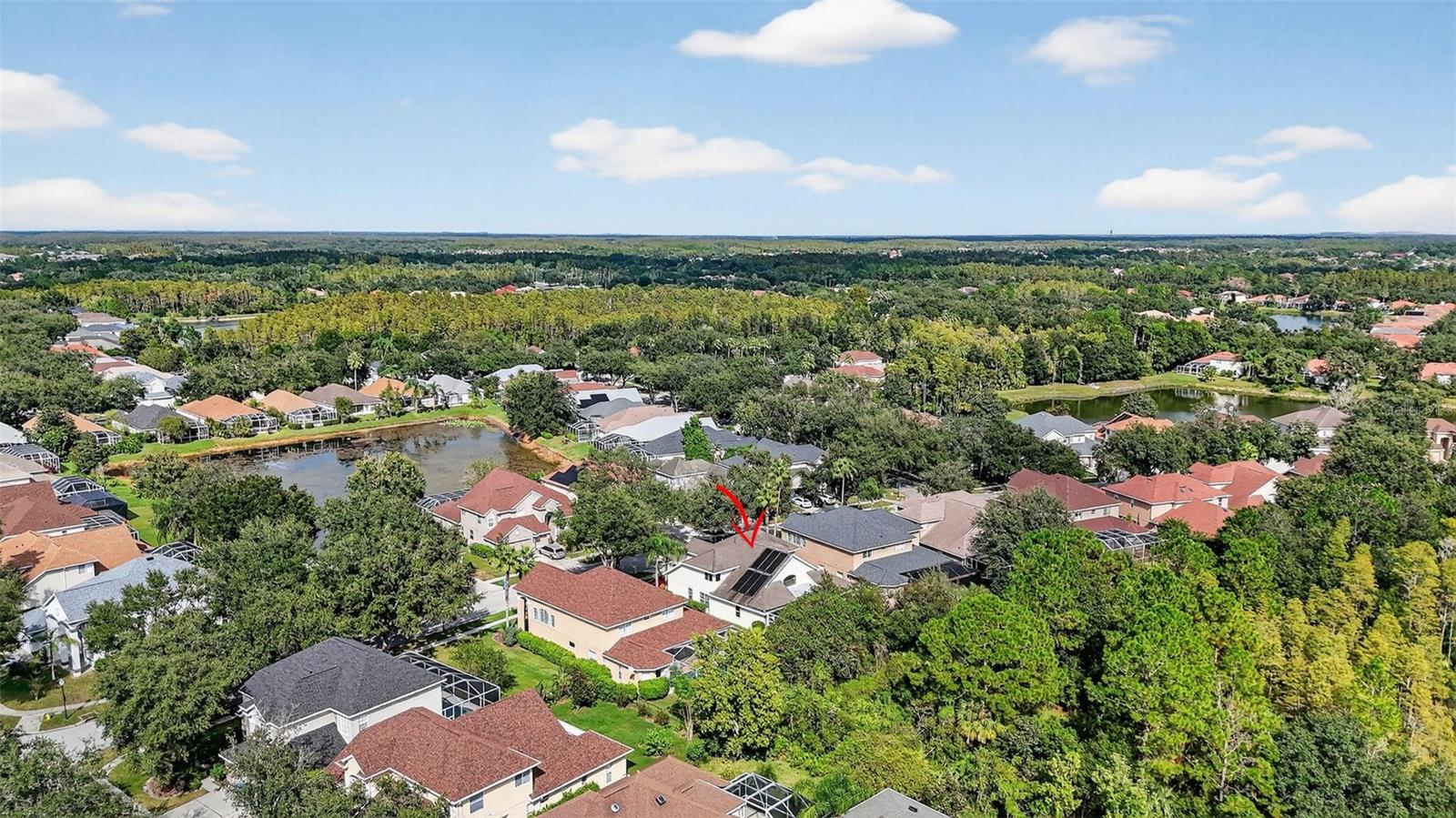10207 DEERCLIFF DR, TAMPA, FL, 33647