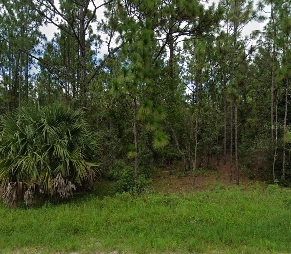 0 HIGHGROVE RD, SPRING HILL, FL, 34609