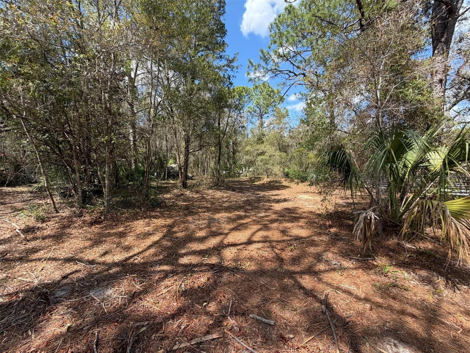 980 N CONANT AVE, CRYSTAL RIVER, FL, 34429