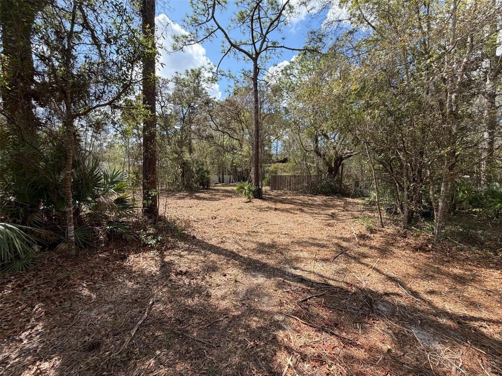 980 N CONANT AVE, CRYSTAL RIVER, FL, 34429