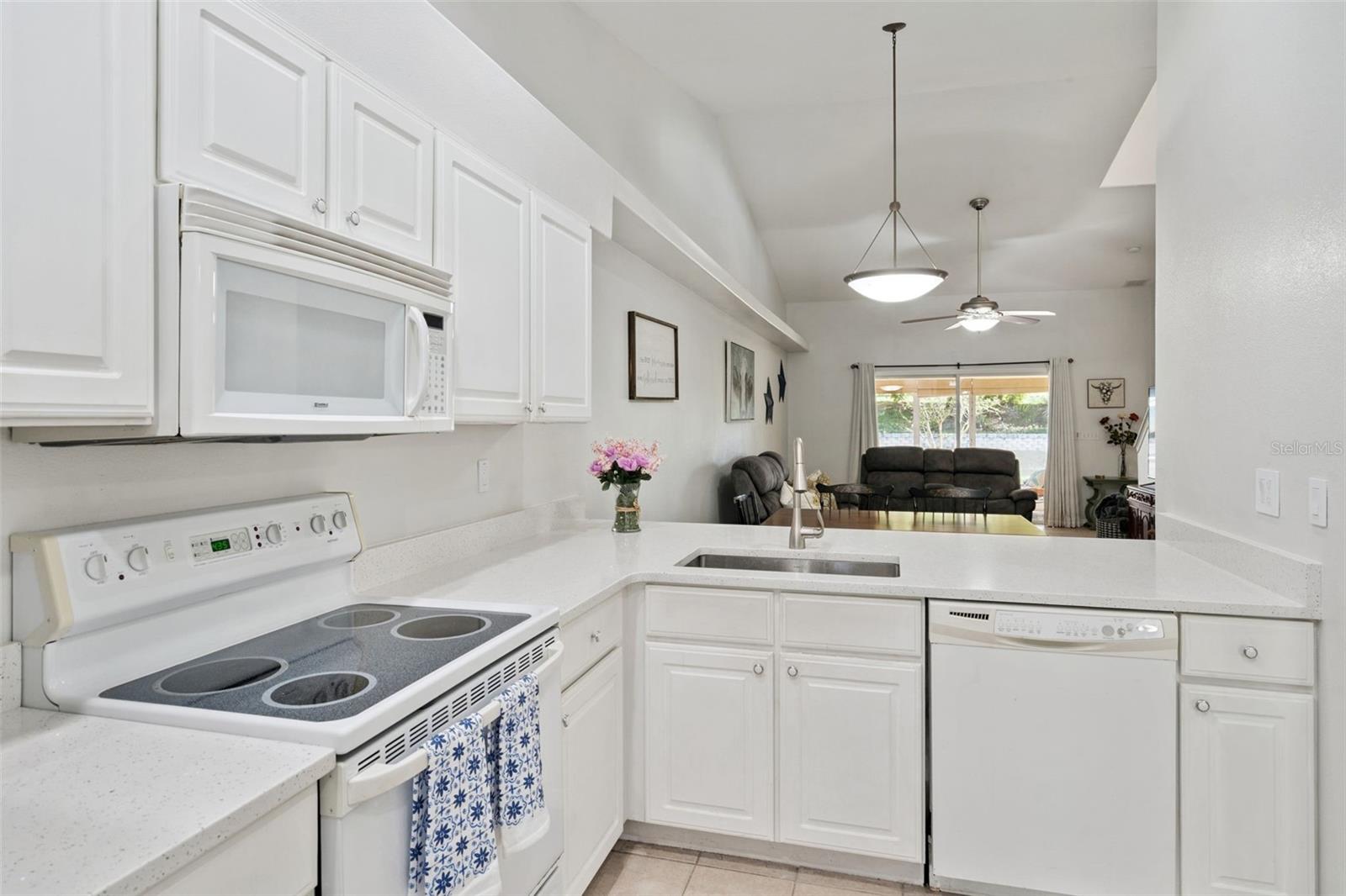 8856 COURTYARD LN, GROVELAND, FL, 34736