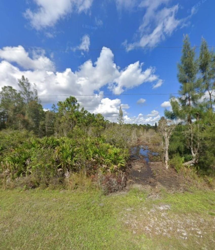 32270 OIL WELL RD, PUNTA GORDA, FL, 33955