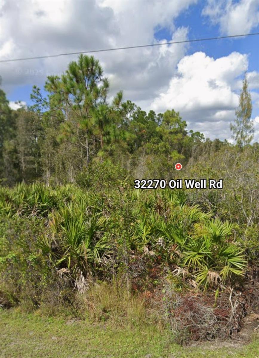 32270 OIL WELL RD, PUNTA GORDA, FL, 33955