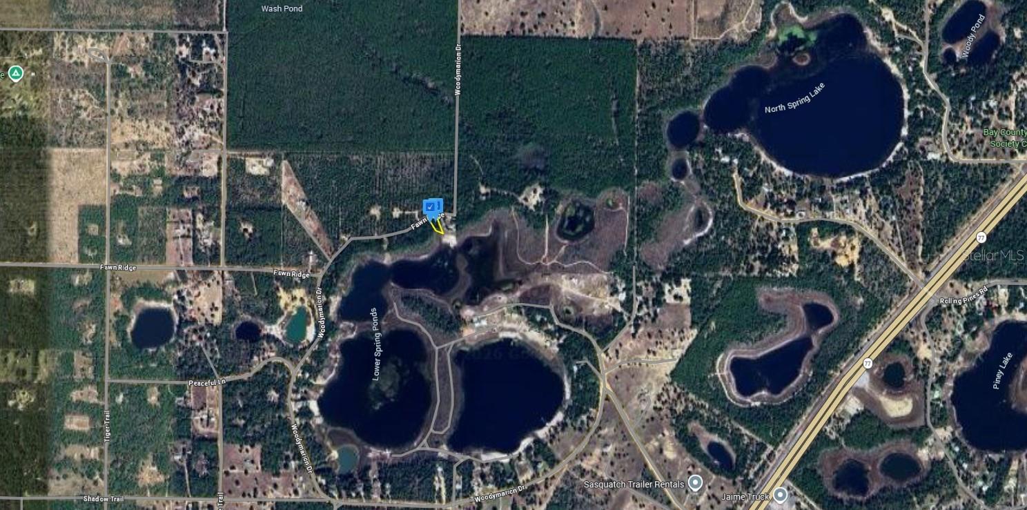 3281 WOODYMARION DR, CHIPLEY, FL, 32428