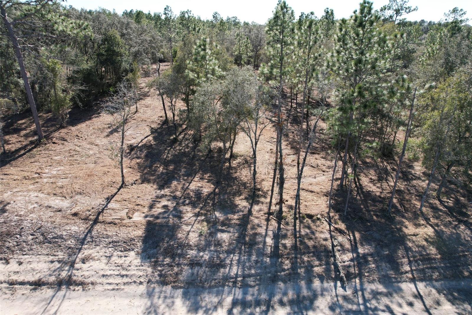 NE HIGHWAY 27 ALT HWY, WILLISTON, FL, 32696