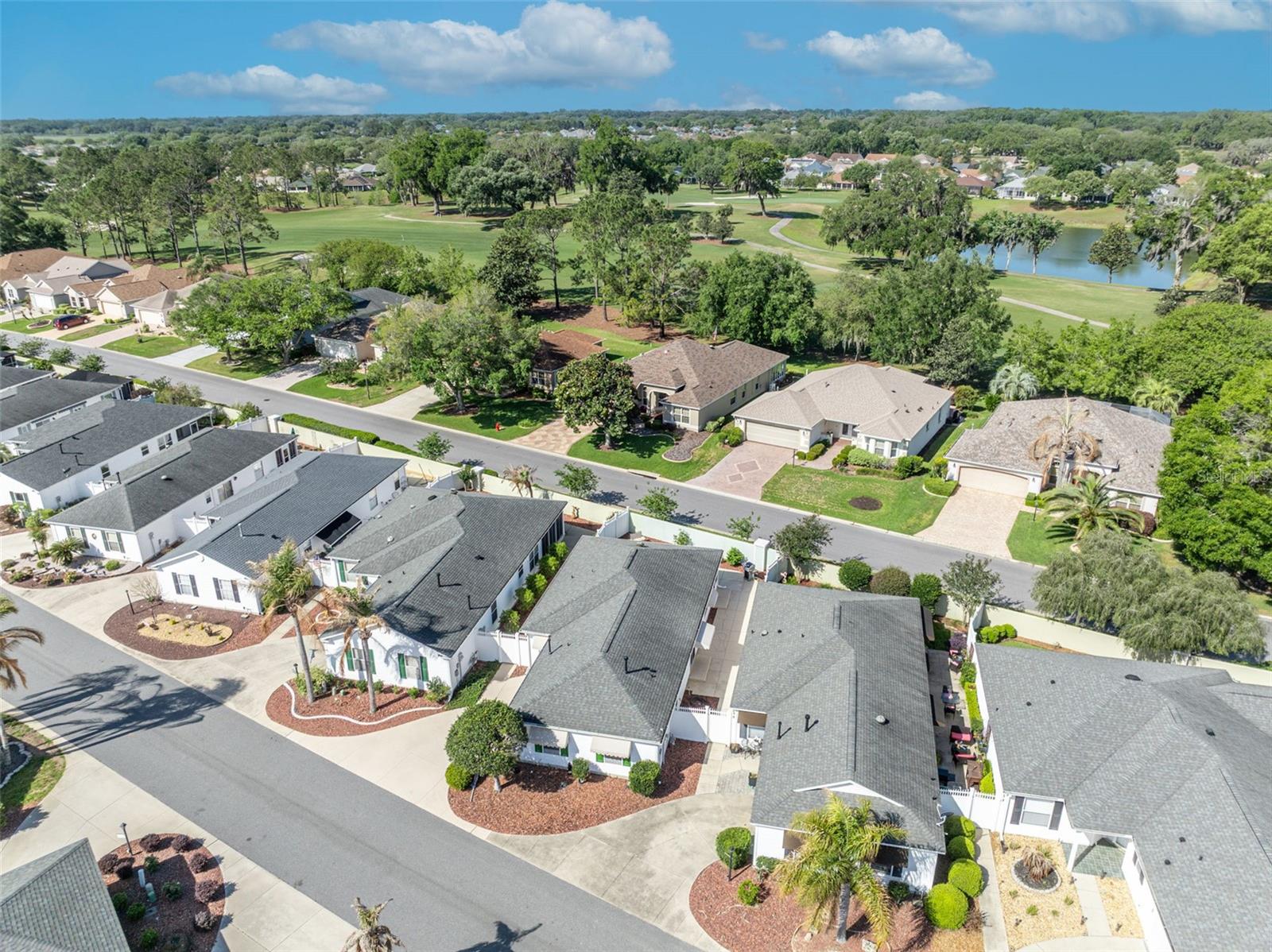 16820 SE 80TH BATHURST CT, THE VILLAGES, FL, 32162