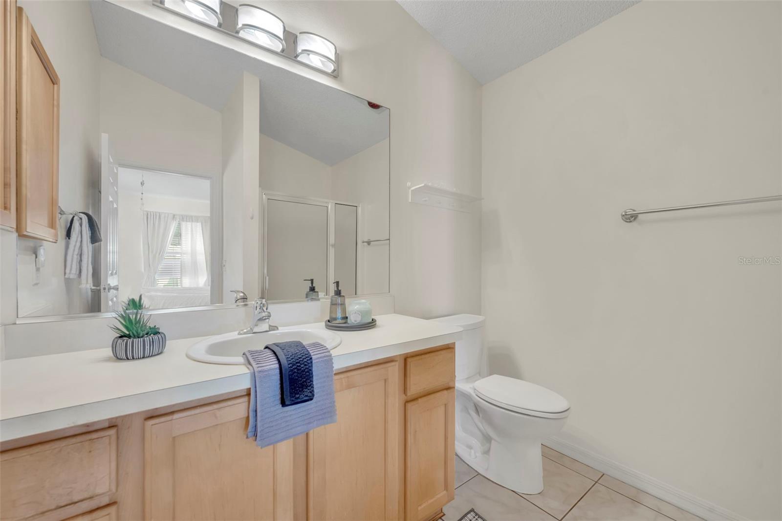 16820 SE 80TH BATHURST CT, THE VILLAGES, FL, 32162