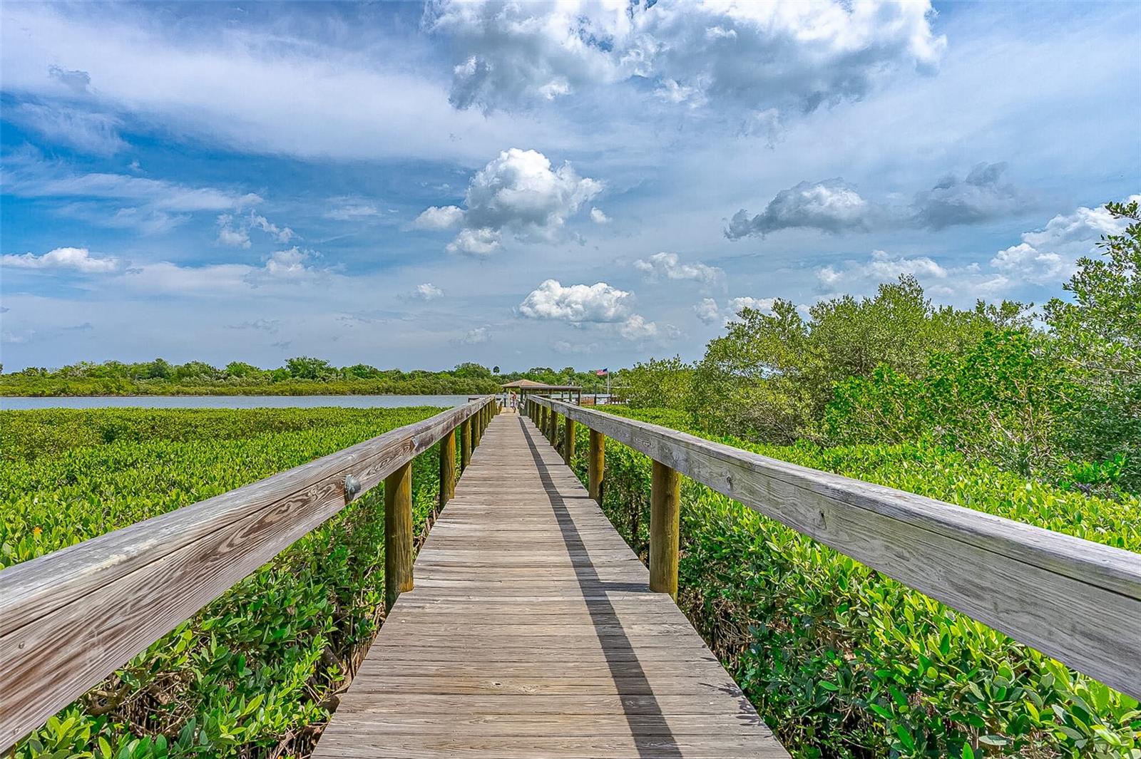 217 SCHOONER AVE, EDGEWATER, FL, 32141
